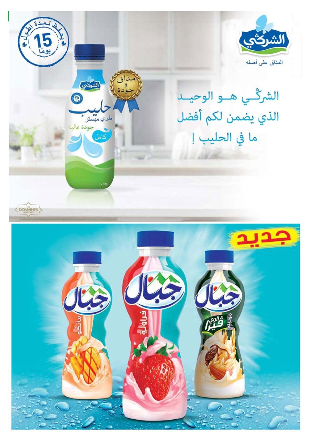 depliant_marjane_chaaban2_029